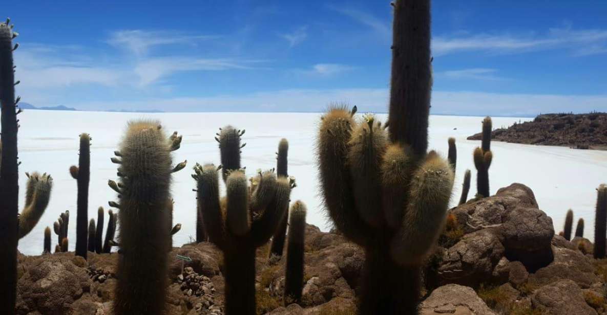 Uyuni Salt Flat Private Tour From Chile in Hostels - Key Points