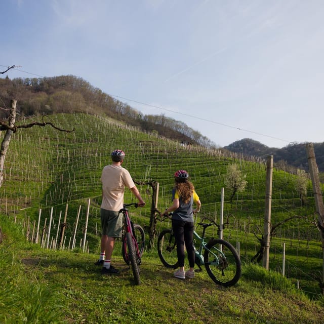 Valdobbiadene: E-Bike Bliss on the Prosecco Hills - Key Points