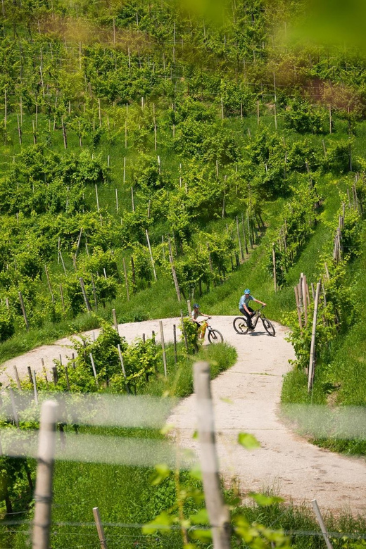 Valdobbiadene: Self-Guided E-Bike Tour in the Prosecco Hills - Key Points