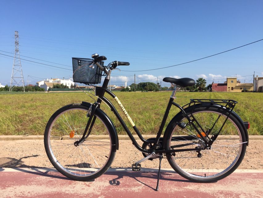 Valencia: Horchata Bike Tour - Key Points