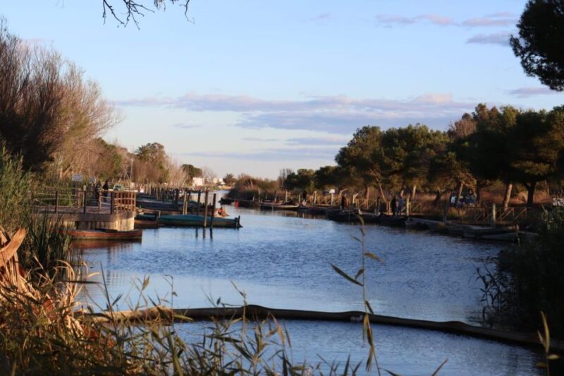 Valencia: Local Market, Boat Trip & Paella Workshop. - Key Points