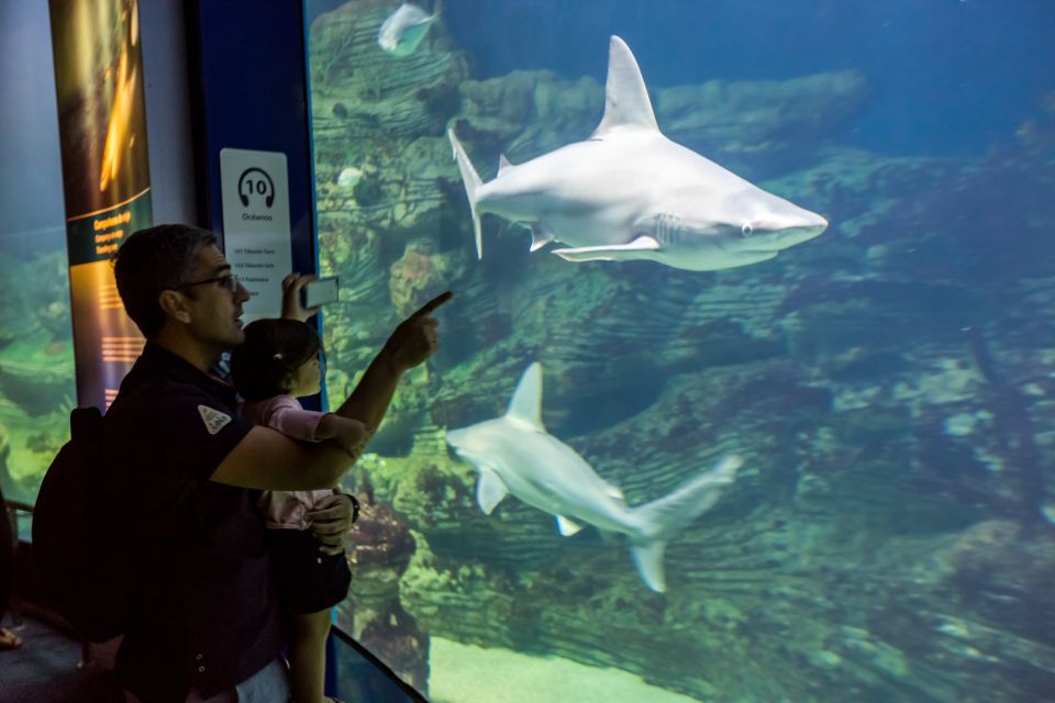 Valencia: Oceanografic, Hemisferic & Science Museum Combos - Key Points