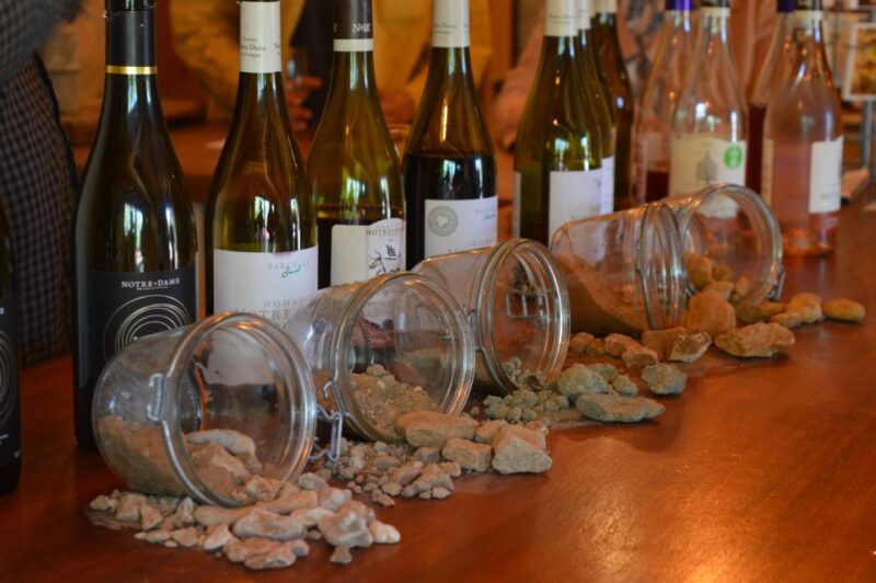 Vallon-Pont-dArc: Electric Bike Wine Tour & Tasting - Key Points