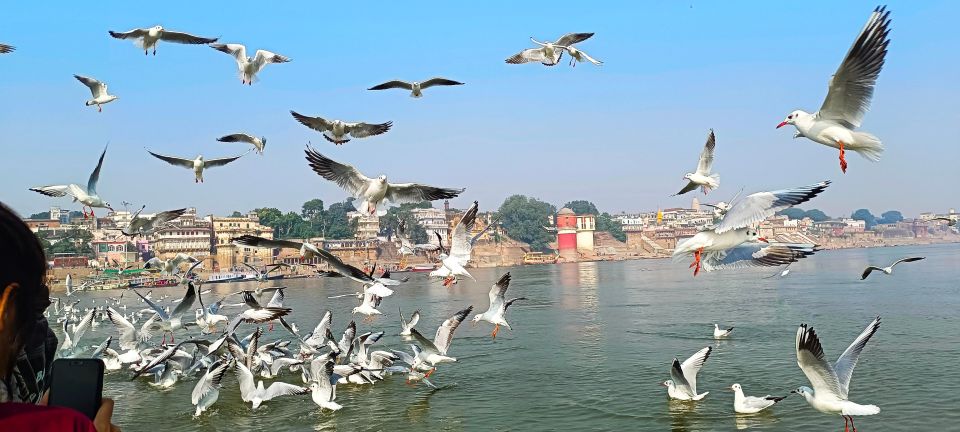 Varanasi : Private Sightseeing Day Trip & Ganges Cruise - Key Points