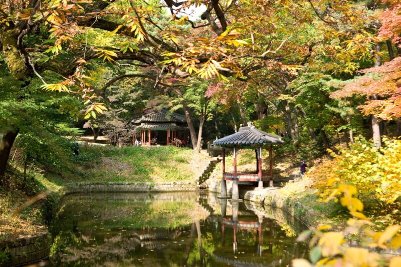 Vegetarian / Halal Seoul City Walking Tour - Free Cancellation