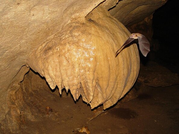 Venado Caves - Good To Know