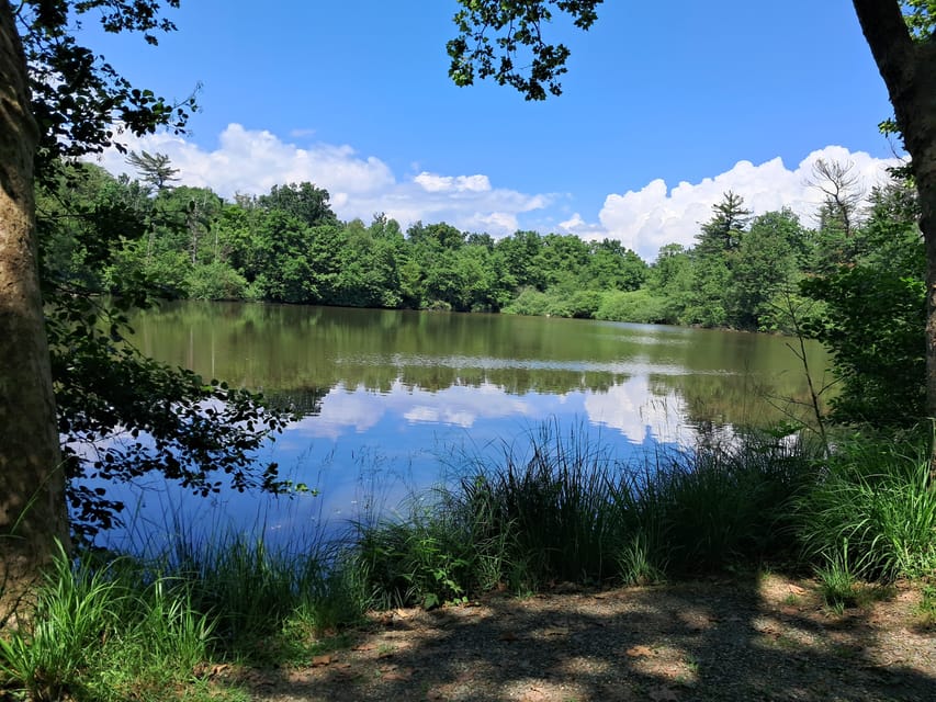 Venaria Reale: Self-Guided E-Bike Tour of Mandria Park - Key Points