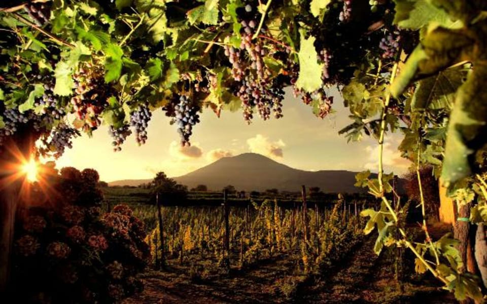 Vesuvius - Wine Tasting From Salerno | Ideal for Cruisers - Key Points