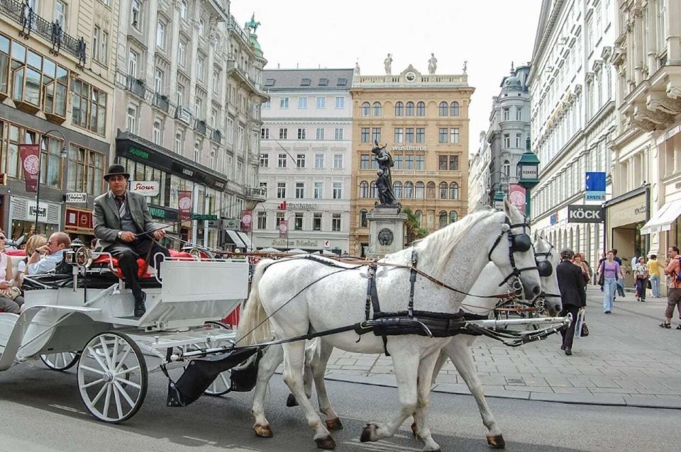 Vienna: Hofburg and Empress Sisi Museum Guided Tour - Good To Know