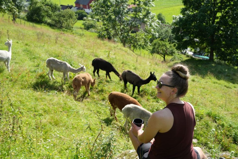 Vik I Sogn: Authentic Farm Visit - Good To Know