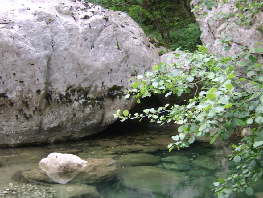 Vikos Gorge Full-Day Guided Hike - Key Points