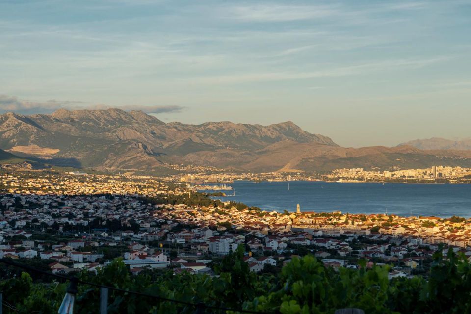 Vineyard Experience: Wine Tasting Near Split - Good To Know