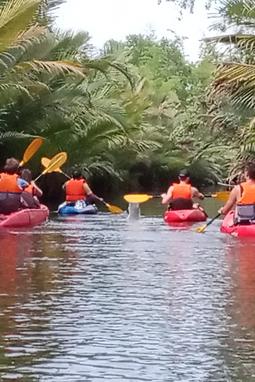 Visit Kampot Peppers Farm/ Kayaking and More...... - Good To Know