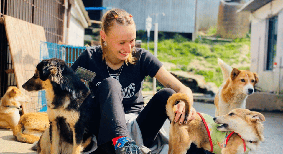 Visit Our Non-Profit Animal Sanctuary in Kathmandu! - Key Points