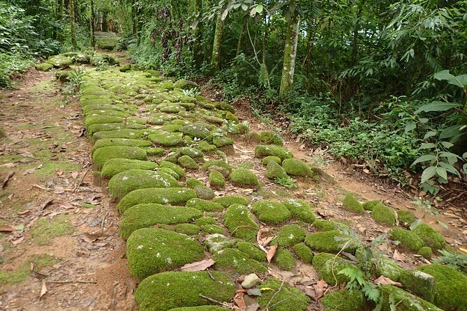 Walking the Gold Trail Tour - Highlights of the Tour
