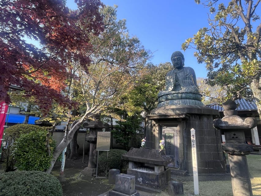 Walking Tour: Yanaka,Nezu& Sendagi: Tea Ceremony & Old Tokyo - Tour Overview