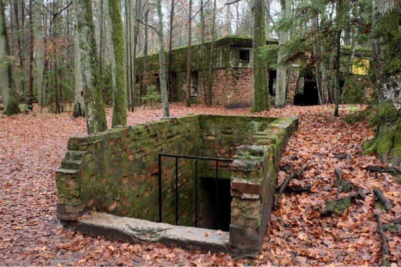 Warsaw: Private Full-Day Excursion to Wolfs Lair - Key Highlights of the Tour