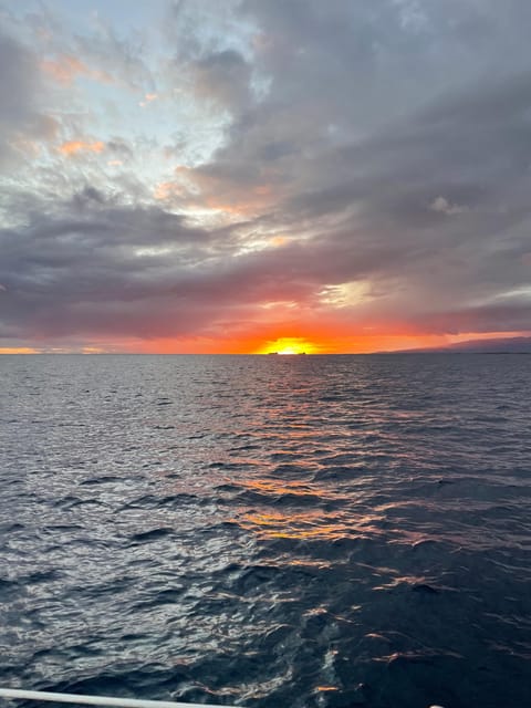 Whale Sail Charter - Key Points