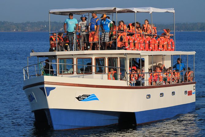 Whale Watching Cruise From Galle & Mirissa - Good To Know