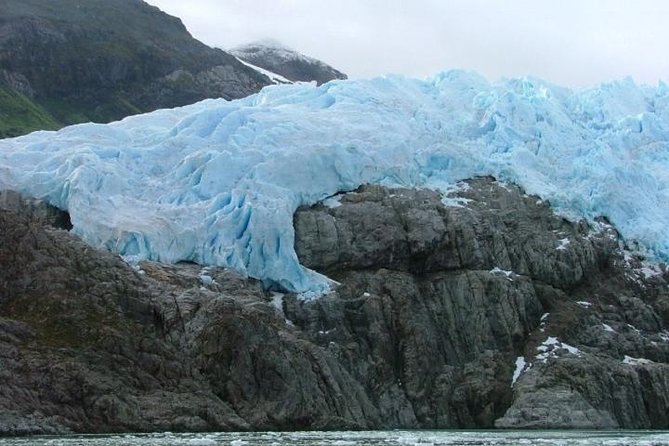 Whales, Penguins & Glaciers Navigation From Punta Arenas