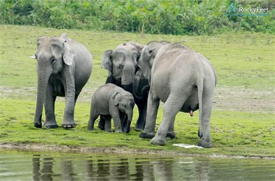 Wilpattu National Park:Full-Day Jeep Safari From Trincomalee - Good To Know