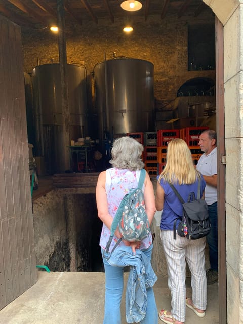 Wine and Tapas, Experience Real Mallorca - Key Points