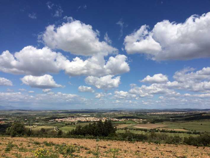 Wine Experience Around Cagliari - Key Points