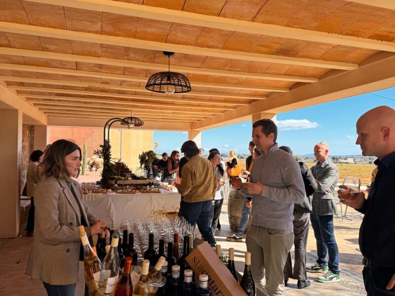 Wine Sunday in Mallorca - Key Points