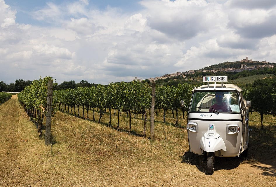 Wine Tour Spello in Tuk Tuk: Italian - Key Points