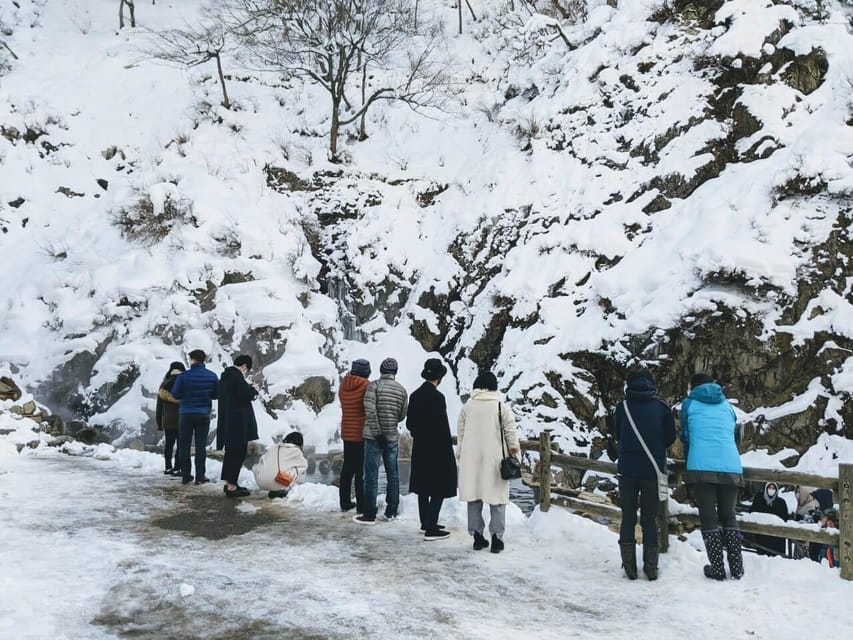 Winter Only From Nozawa Onsen: Snow Monkeys, Zenko-ji & Sake - Tour Overview and Pricing