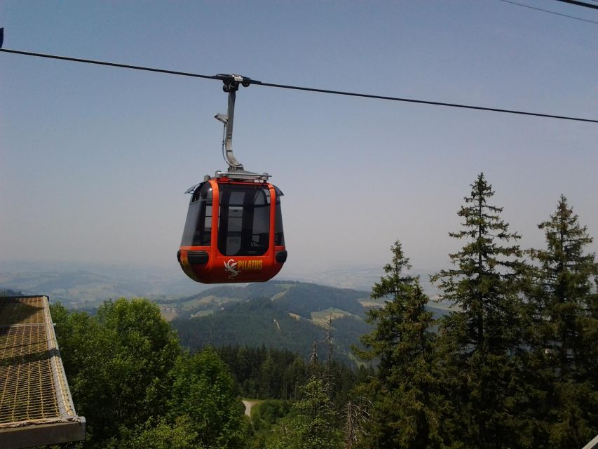 Winter Panorama Mount Pilatus: Small Group Tour From Luzern - Good To Know