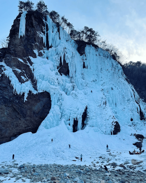 Wondae-ri Birch Forest and In-je Maebawi Icewall Day Tour - Key Points