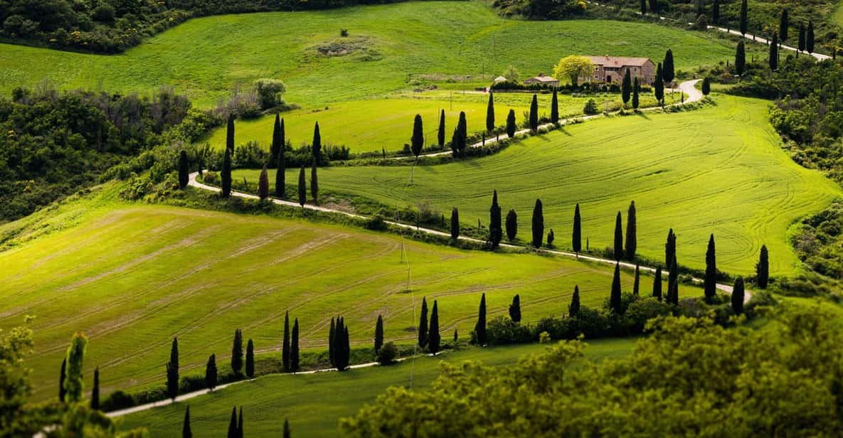 Wonderful Tuscan Wine Tour: Siena, Chianti and San Gimignano - Key Points