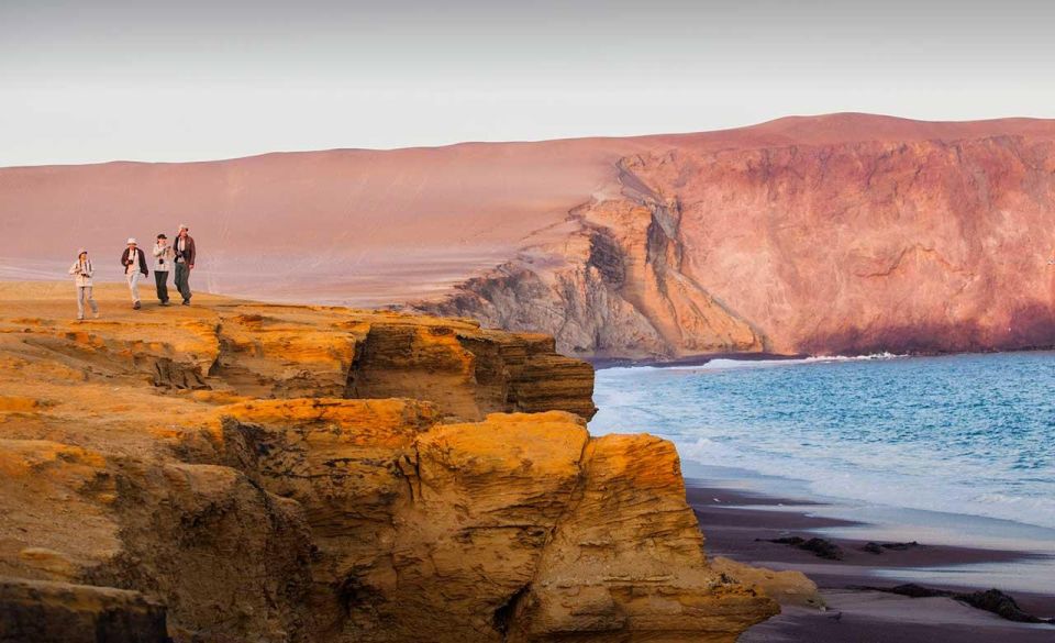 Wonders of Paracas: Ballestas Islands and National Reserve - Key Points