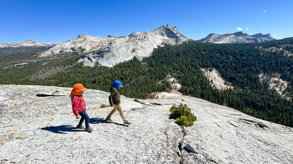 Wonders of Yosemite: Customizable Private Tour - Key Points