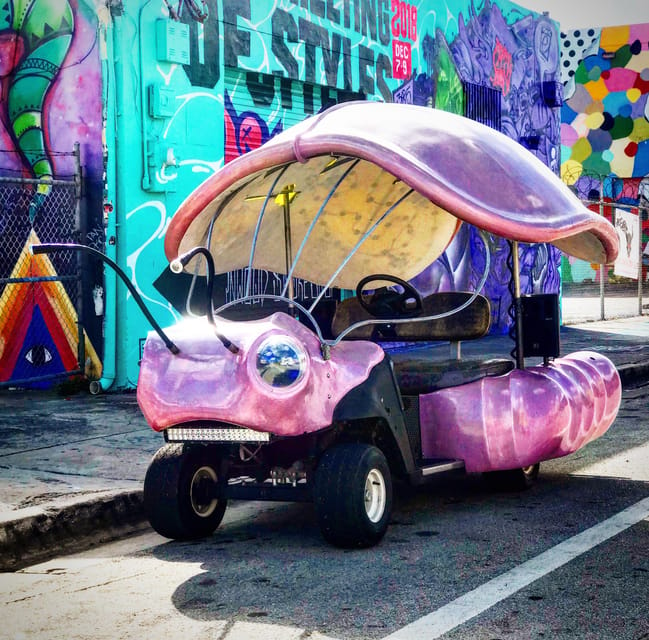 Wynwood Walls: Lady Buggies Tour - Key Points