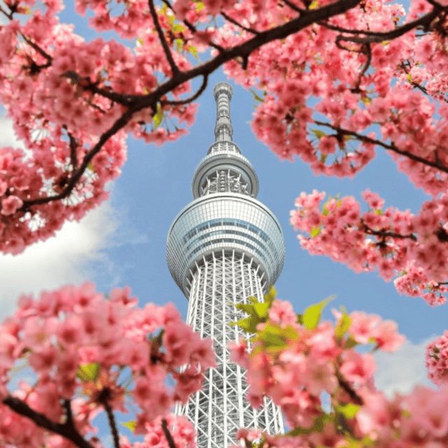 Tokyo: Full Day Tokyo City Private Tour Must Seeing Places - Key Destinations to Explore