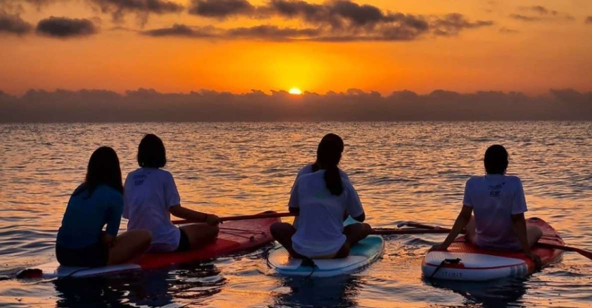 Xeraco: Private Sunrise Kayak or SUP Tour - Key Points