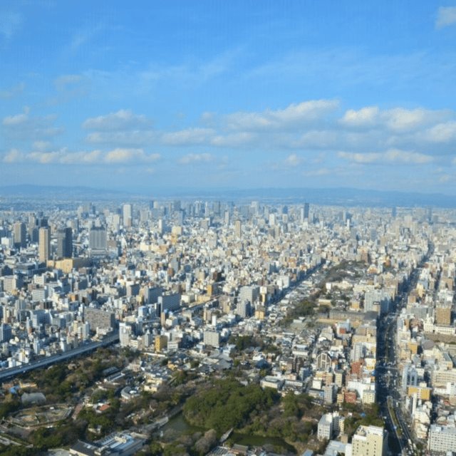 Osaka: Private Customizable Tour By English Speaking Driver - Tour Overview and Pricing