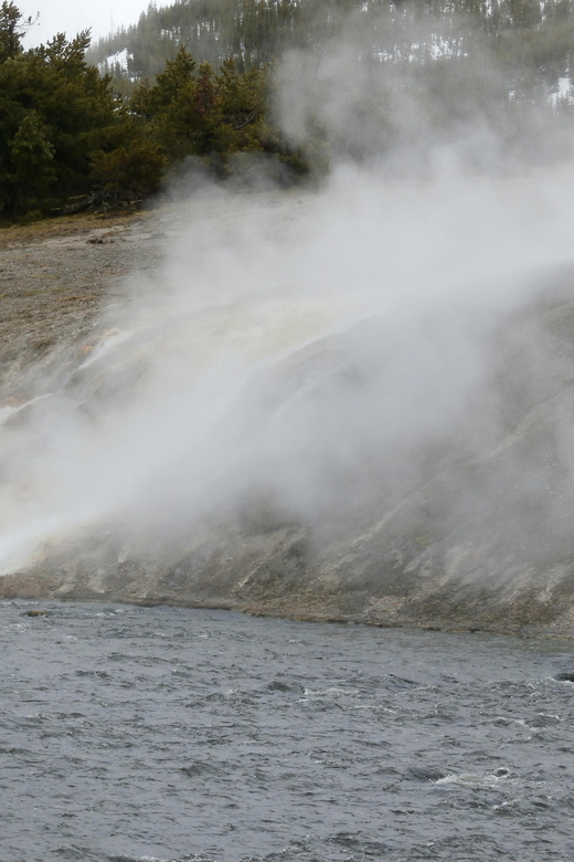 Yellowstone Wildlife Tours: From West Yellowstone Montana - Key Points