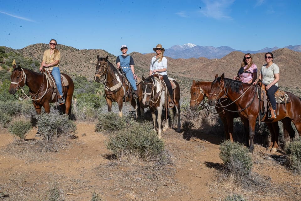 Yucca Valley: Joshua Tree National Park Horseback Ride - Key Points