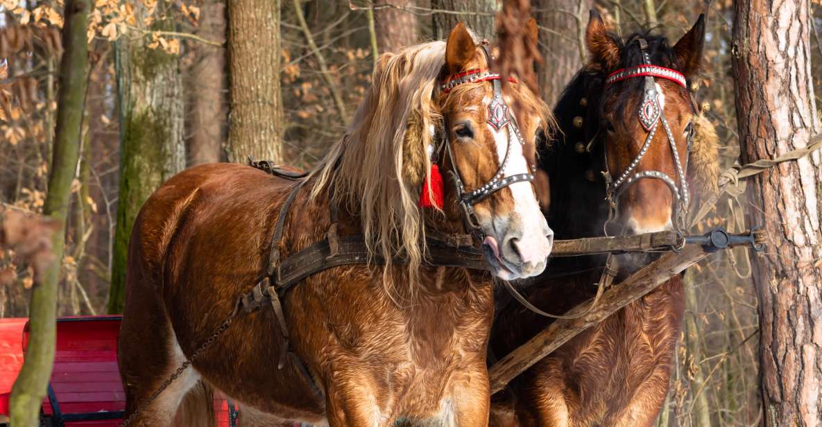 Zakopane: Horse-Drawn Rides With Local Guide & Food Tasting - Good To Know