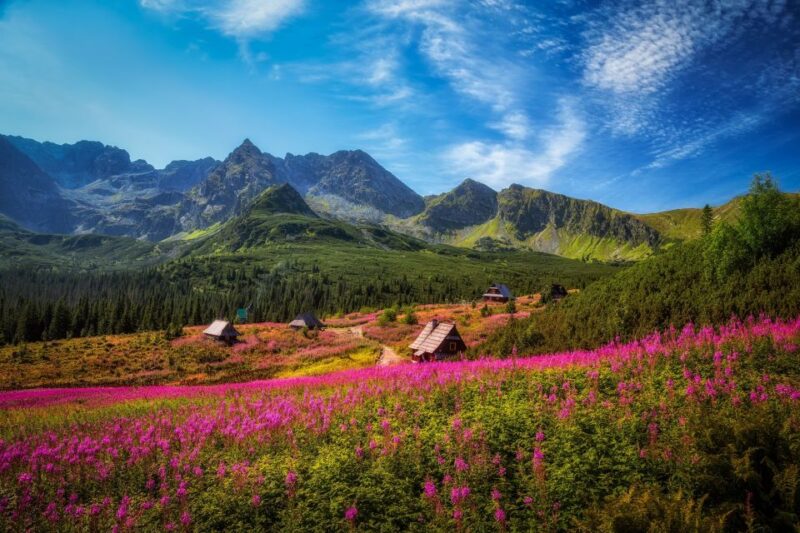 Zakopane: Private City Tour - Good To Know