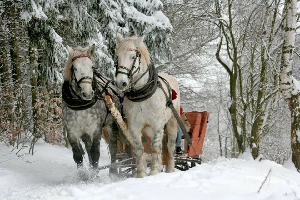 Zakopane: Sleigh Ride With Transfers and Lunch Option - Good To Know