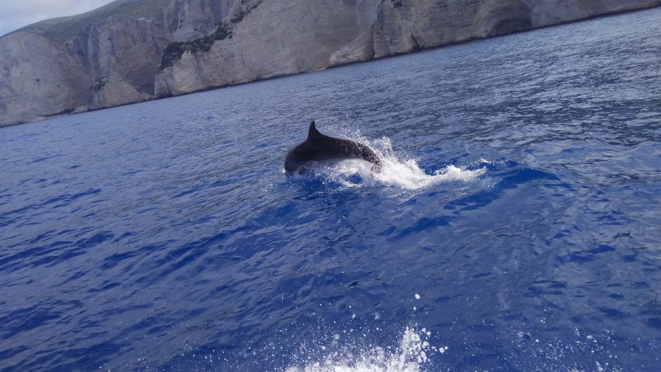 Zakynthos: Early Morning Shipwreck,Blue Caves and View Point - Key Points