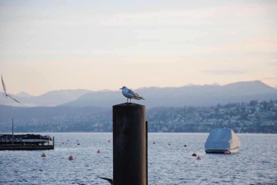 Zurich: 360° City Walk Including Hidden Spots - Good To Know