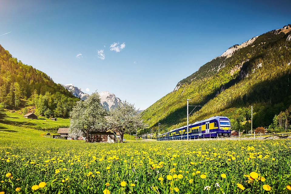 Zurich: Day Trip to Grindelwald & Interlaken by Bus & Train - Good To Know