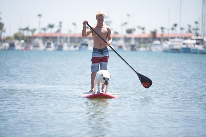 1.5 Hour Paddle Board Rental With Instruction - Good To Know