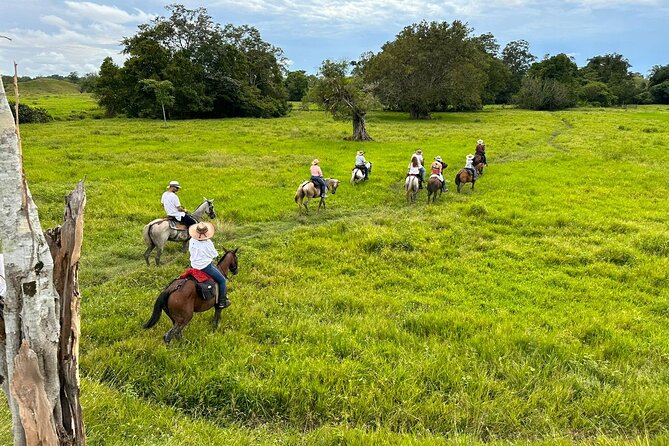 1 Day Horseback Riding at a Real Ranch From Medellin - About Your Stay