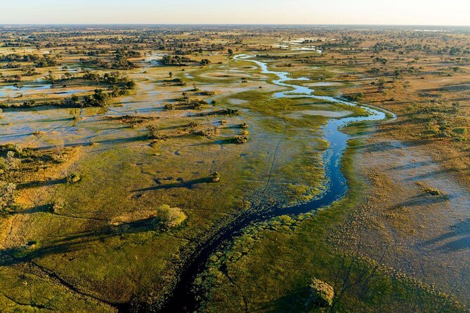 1 Day Okavango Delta Mokoro/Canoe Daytrip - Good To Know